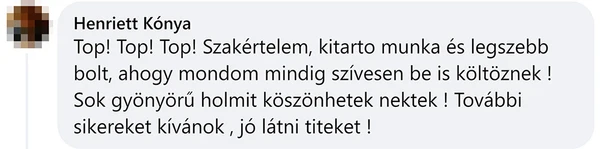 Ügyfél vélemény 9